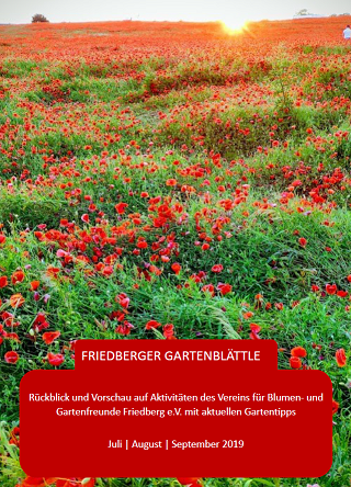 Unser Friedberger Gartenblättle Sommer 2019
