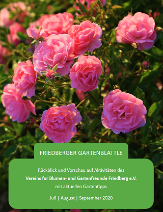 Unser Friedberger Gartenblättle Sommer 2020