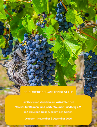 Unser Friedberger Gartenblättle Herbst 2020
