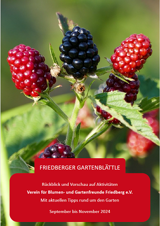 Unser Friedberger Gartenblättle Herbst 2024