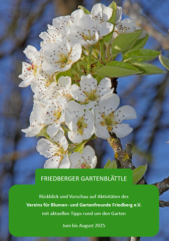 Unser Friedberger Gartenblättle Sommer 2025